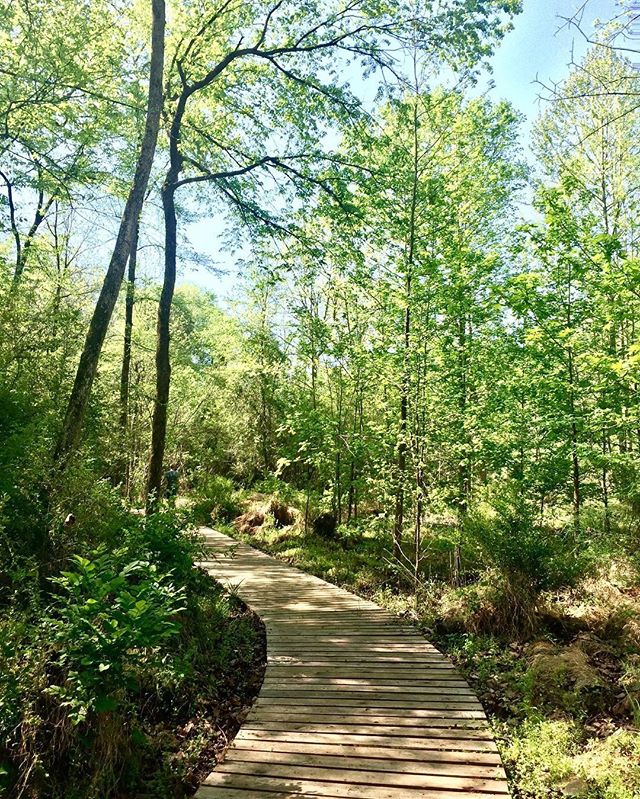 Beautiful day at the Brumley Nature Reserve with @trianglelandconservancy. Happy #EarthDay!