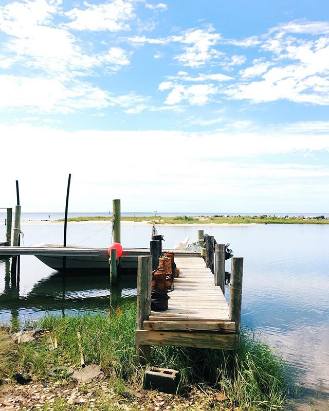 Current views in Sea Level at the Millpoint Oyster Hatchery. A good morning indeed! 📷: @baxmiller