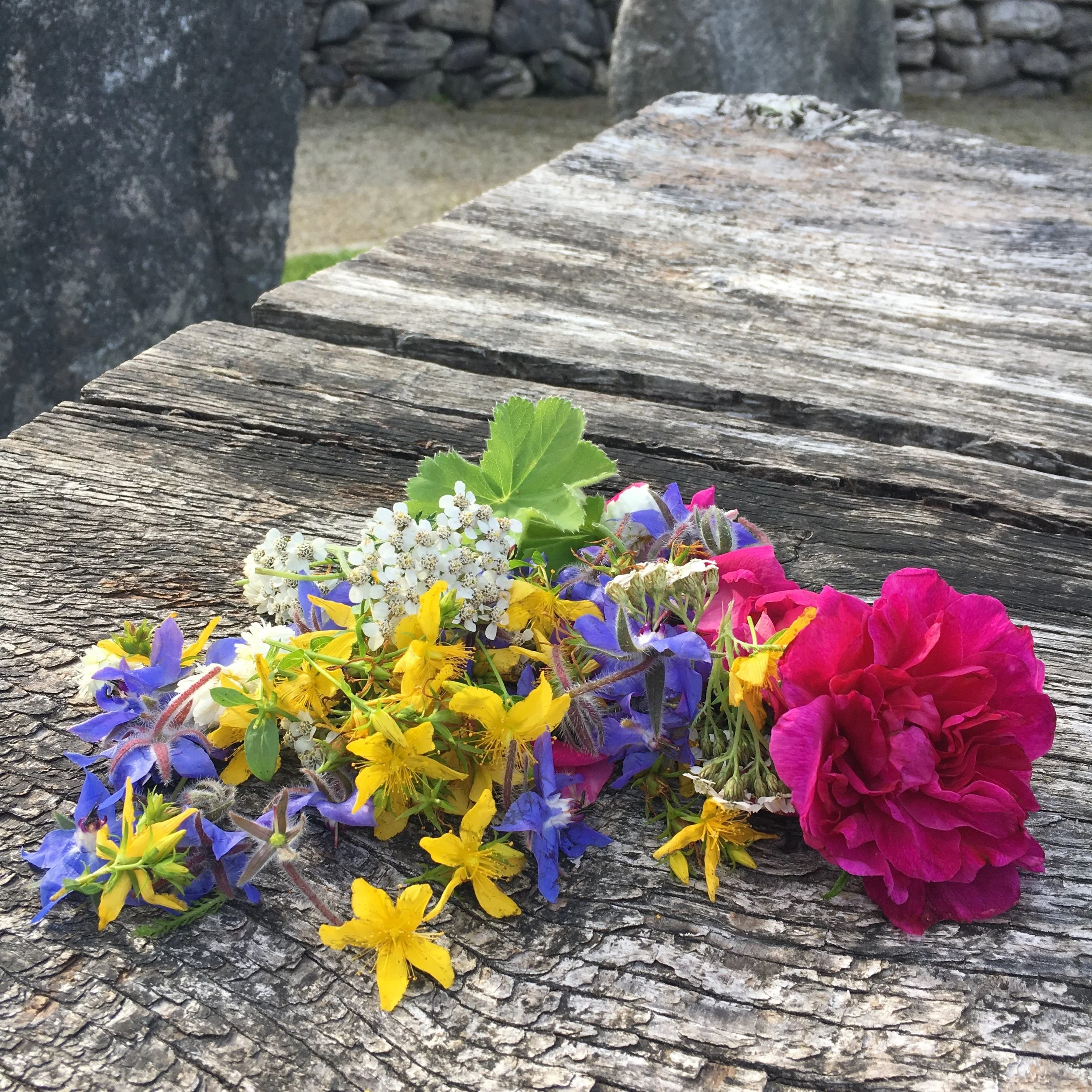 bg flowers in lughnasa.JPG