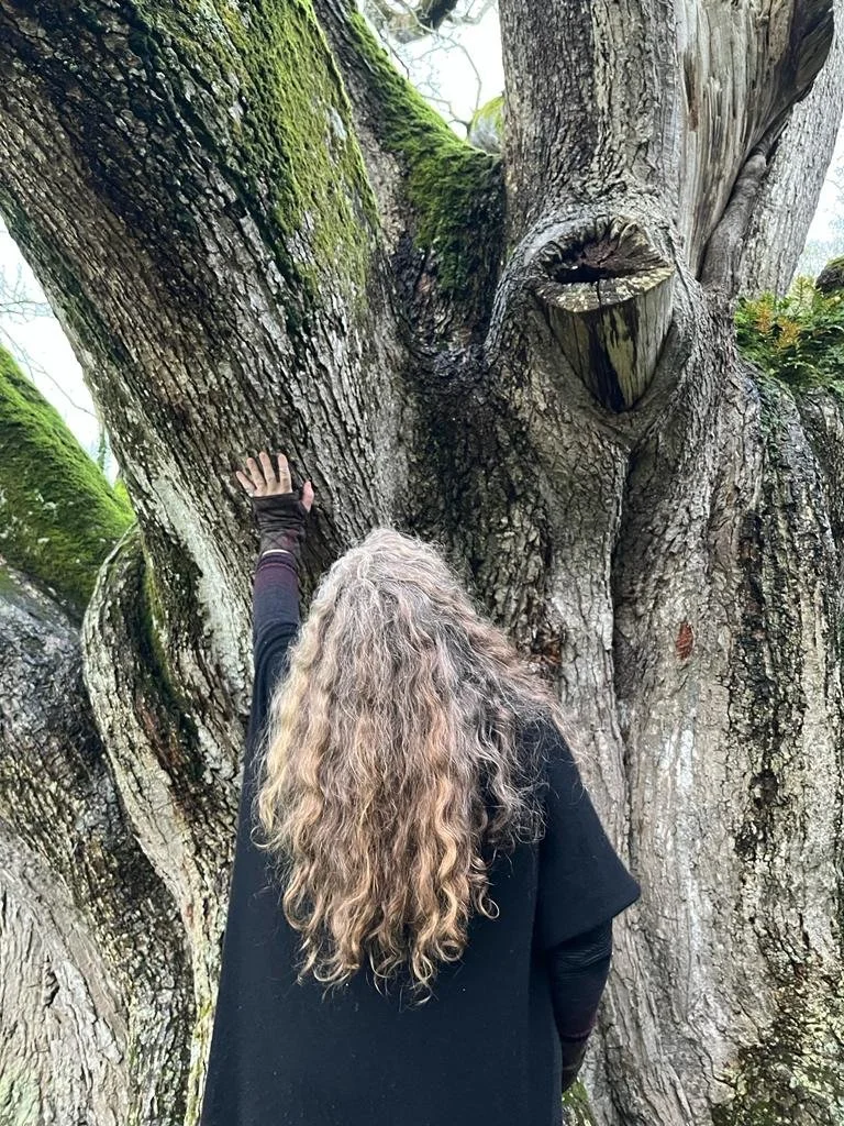 Pilgrimage Philosphy for Life