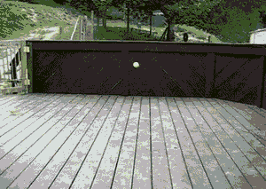 Pup.gif