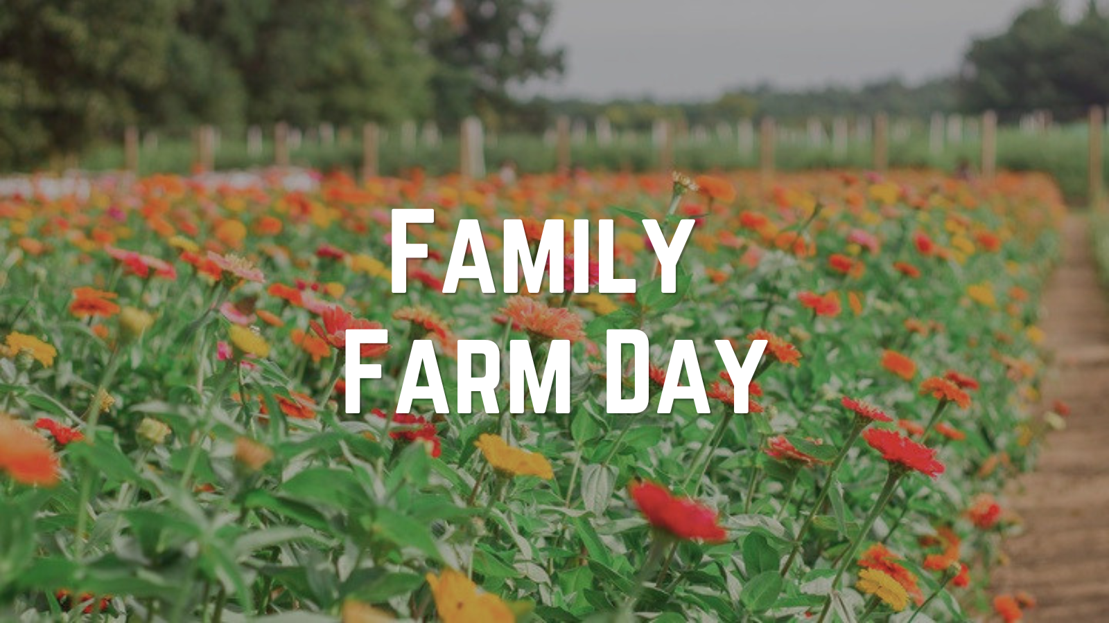 Family Farm Day