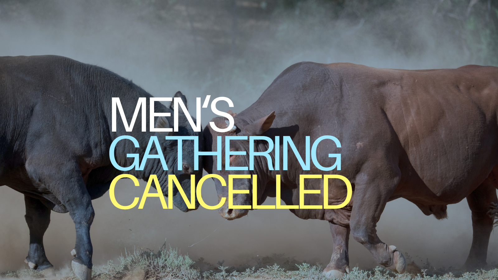 Men's Gathering