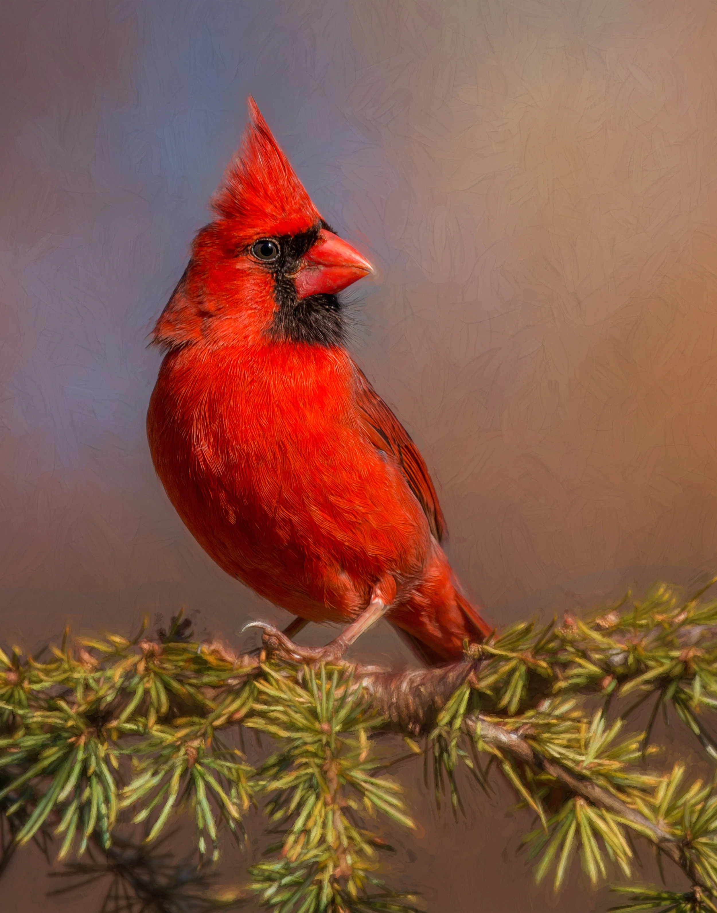 cardinal in the tree impression.jpg