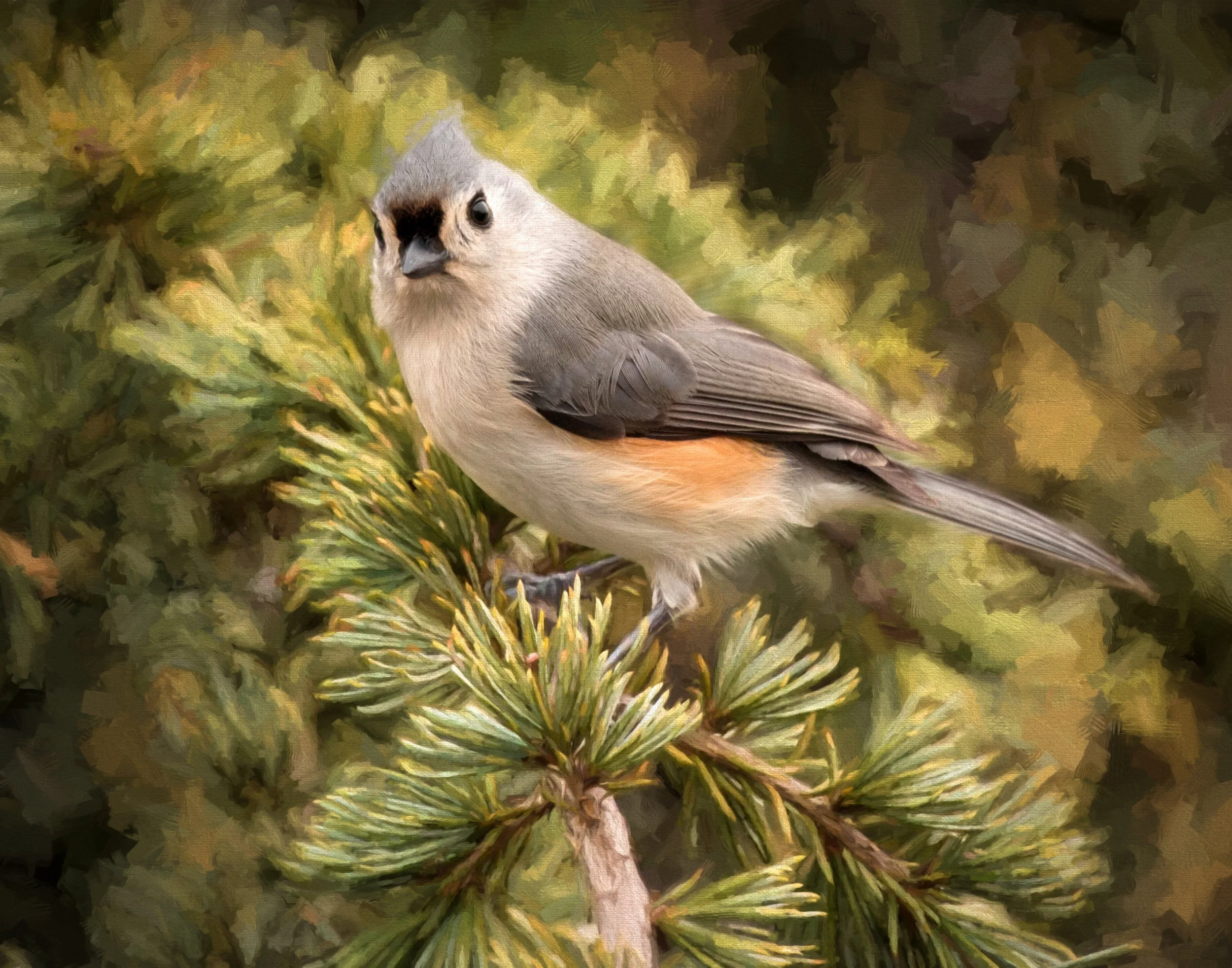 titmouse_ Impression.jpg