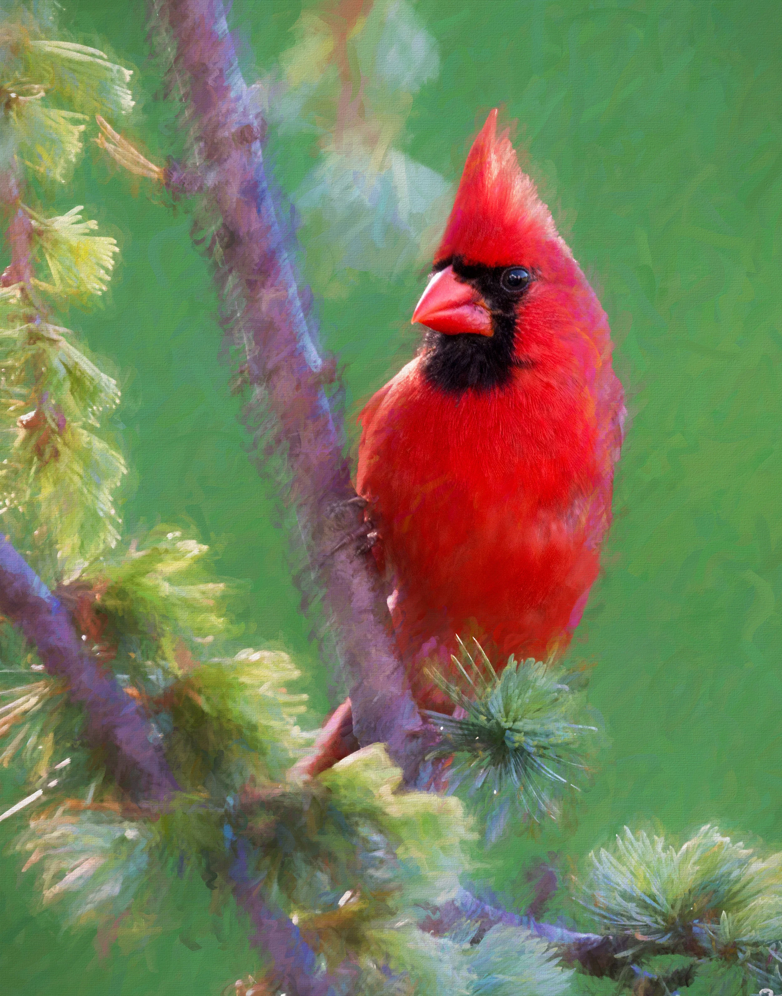 vertical cardinal.jpg