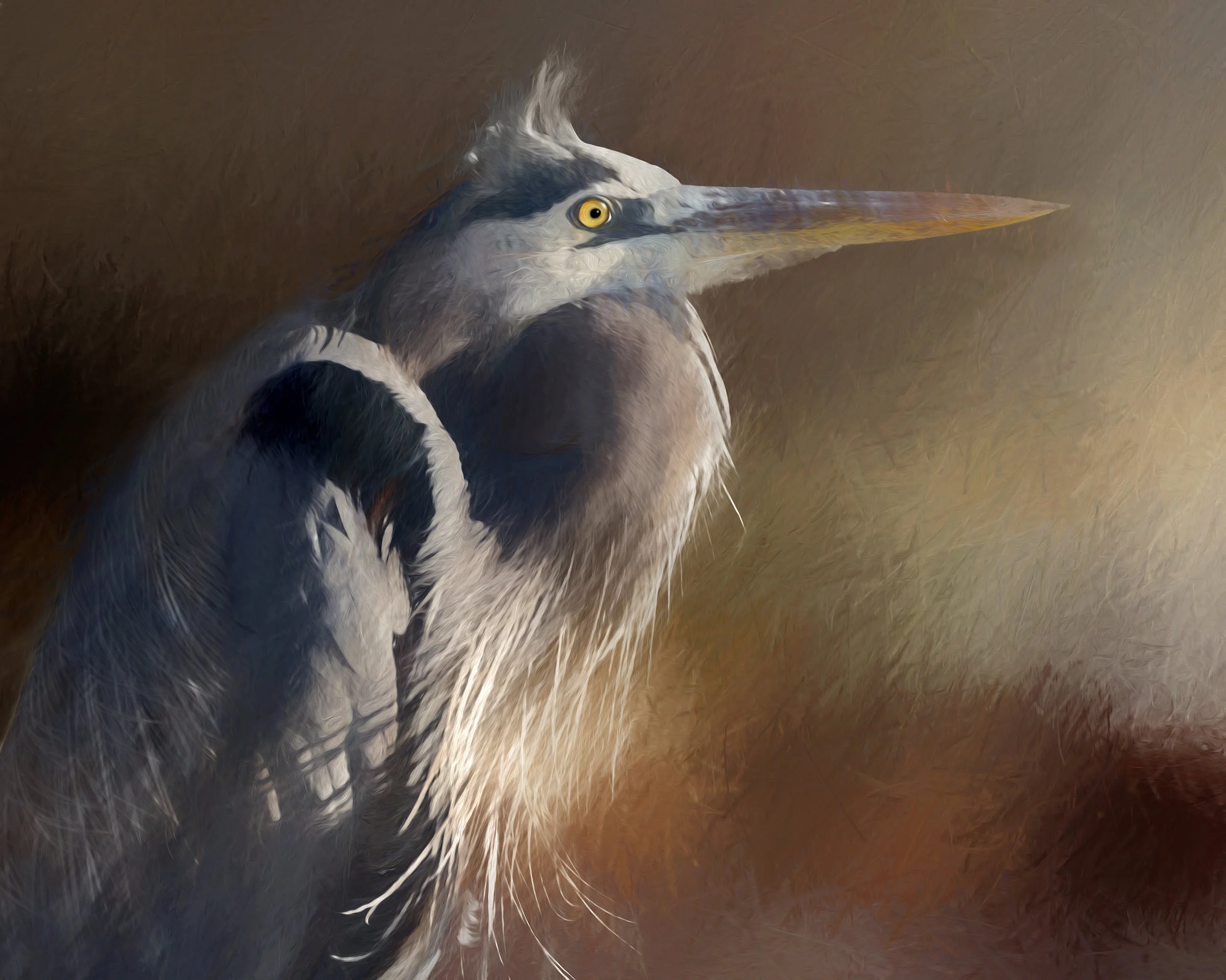 Great Blue.jpg