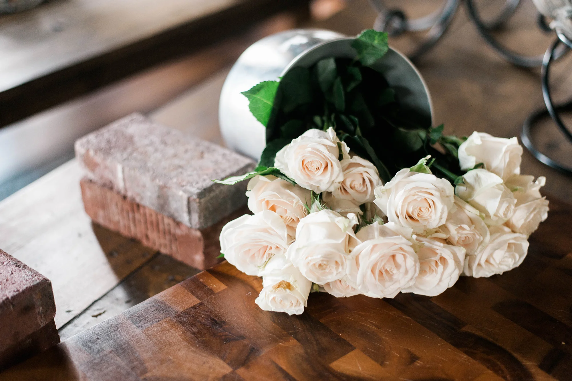 youngerman (134 of 396).jpg