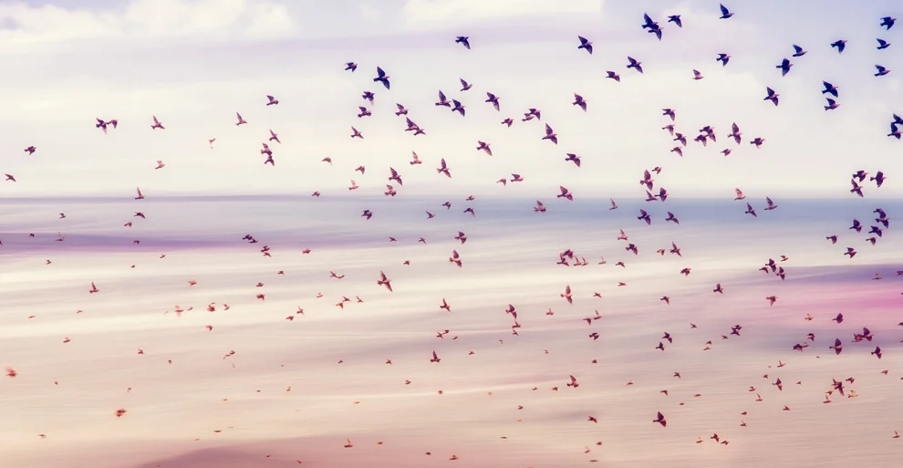     Why Purpose? Brand Strategy for the Digital Age    