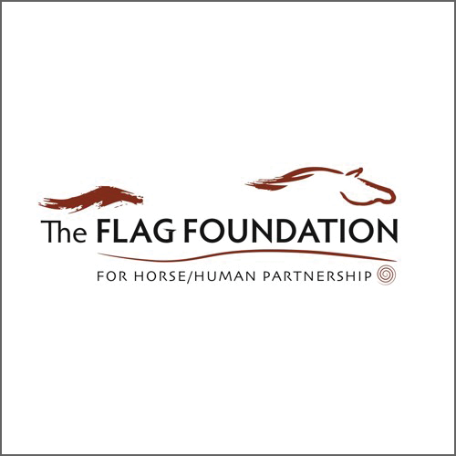 flag-foundation.png