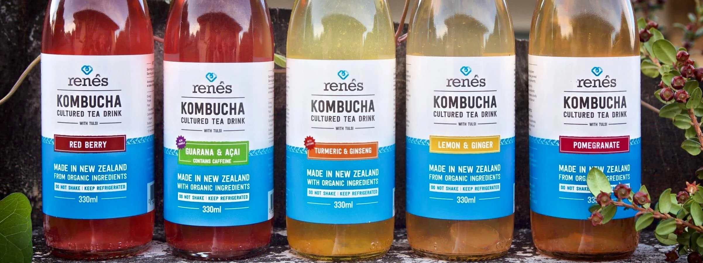 Shop — René's Kombucha