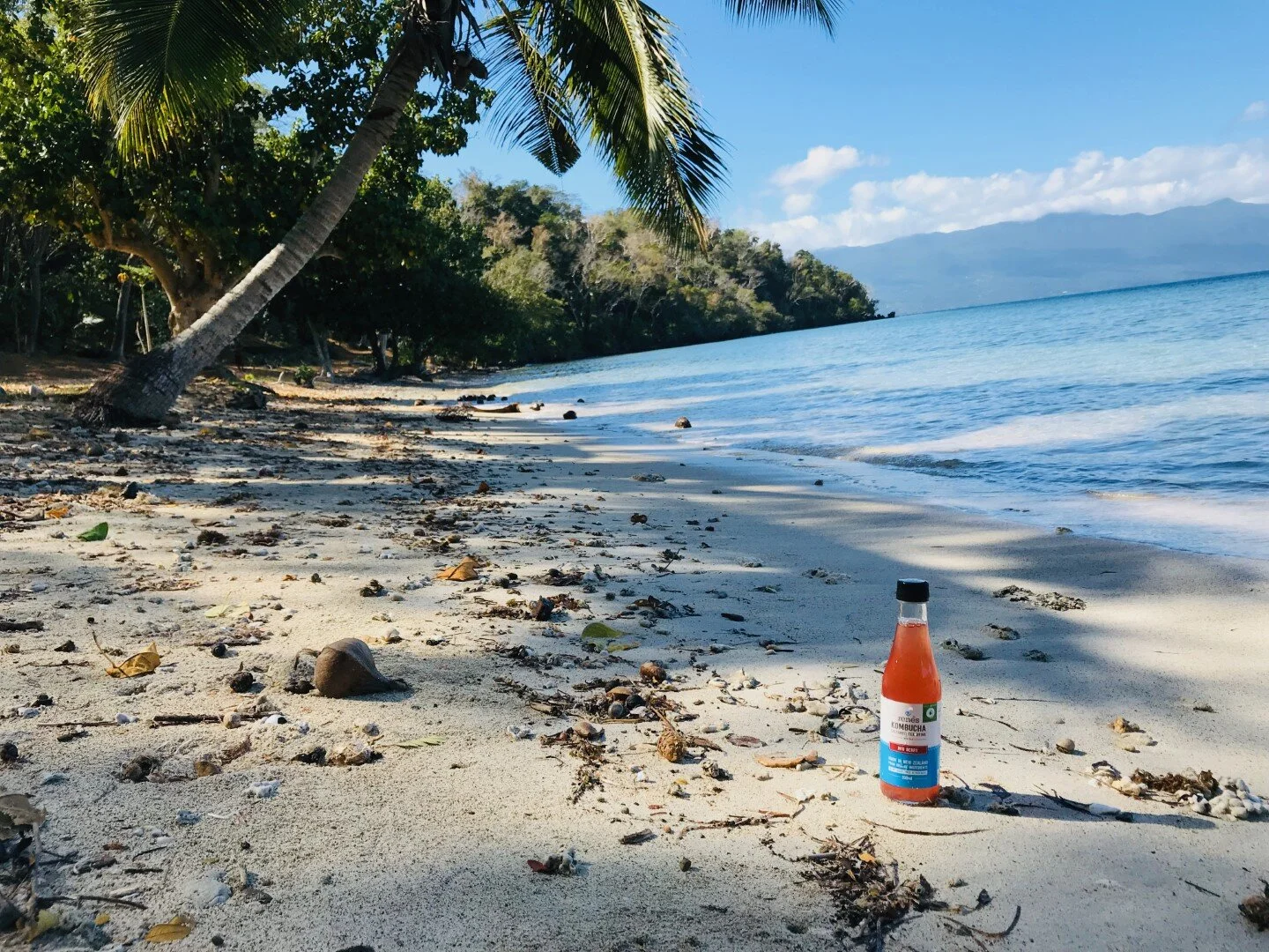 Our Story — René's Kombucha