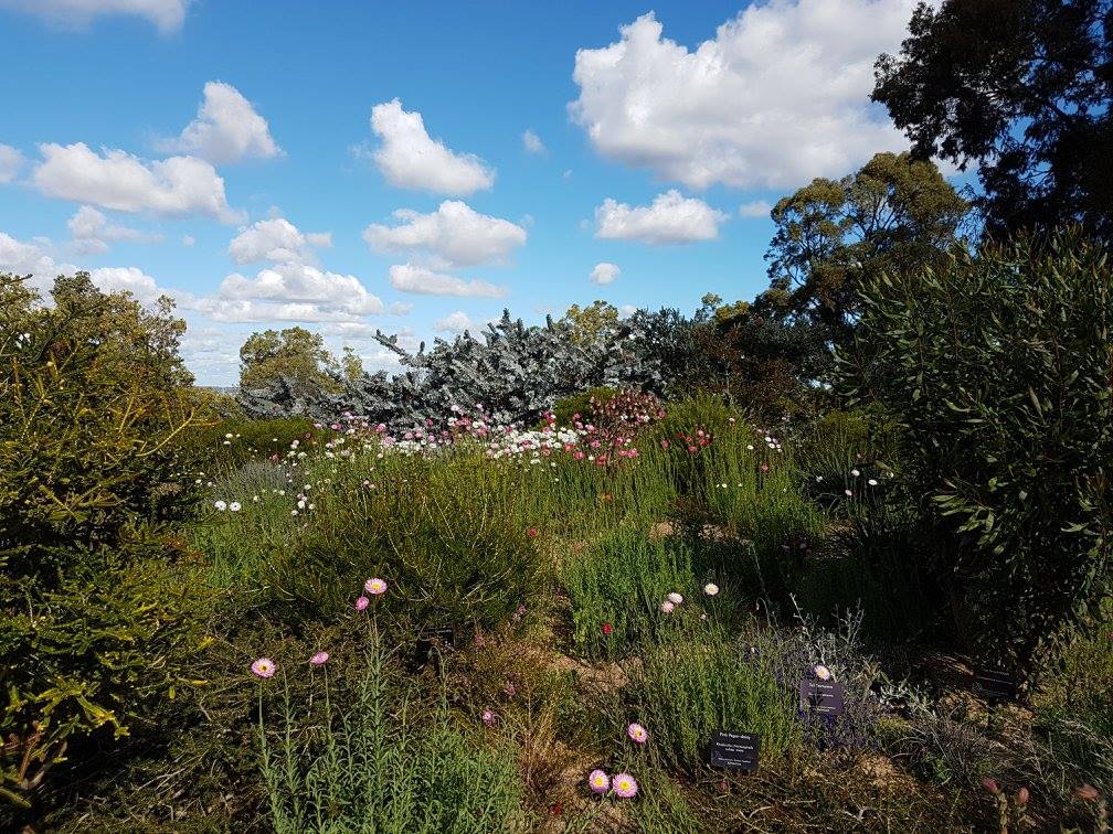 Kings Park.