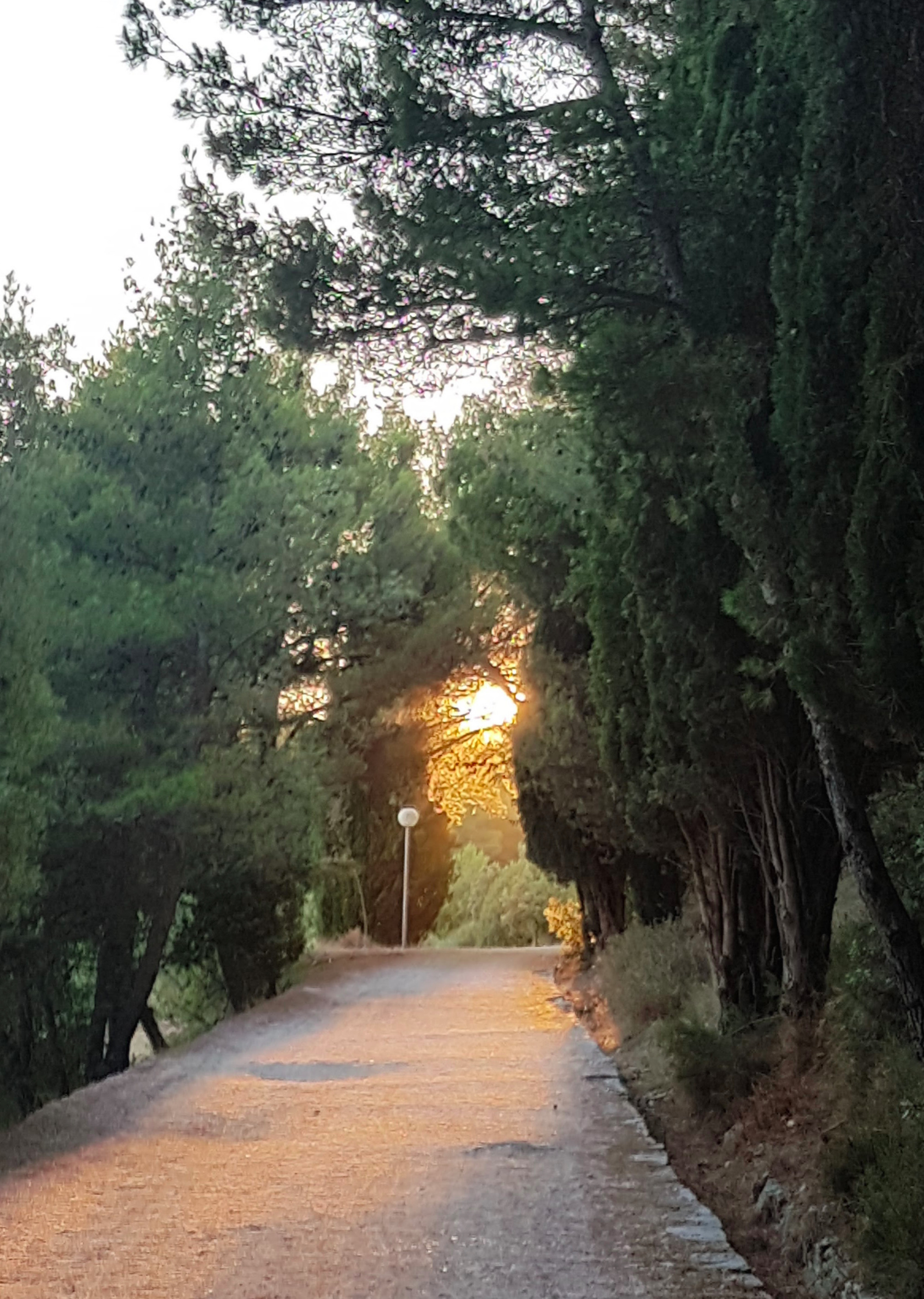 A gorgeous, golden European evening.