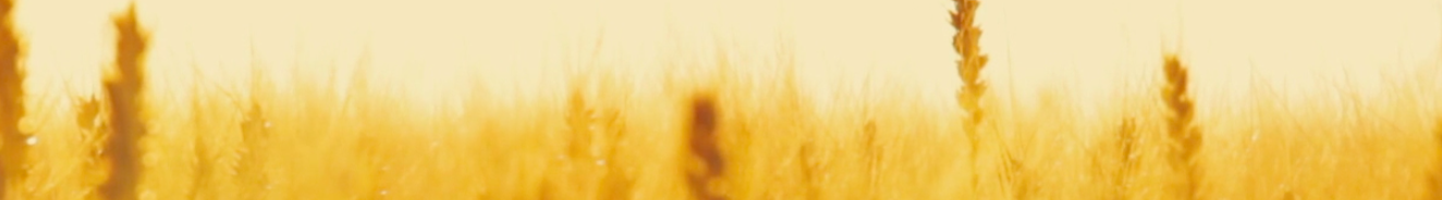 Screen Shot 2016-06-02 at 1.15.57 PM.png