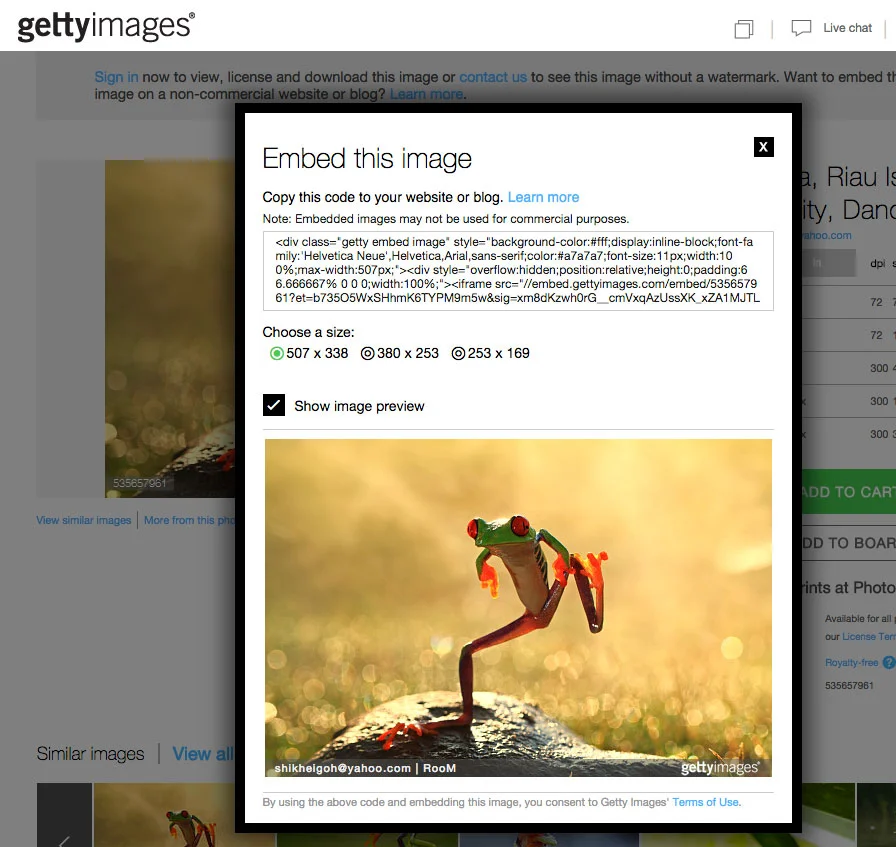 Tips On Finding Free Professional Photography For Blogs or Social Media