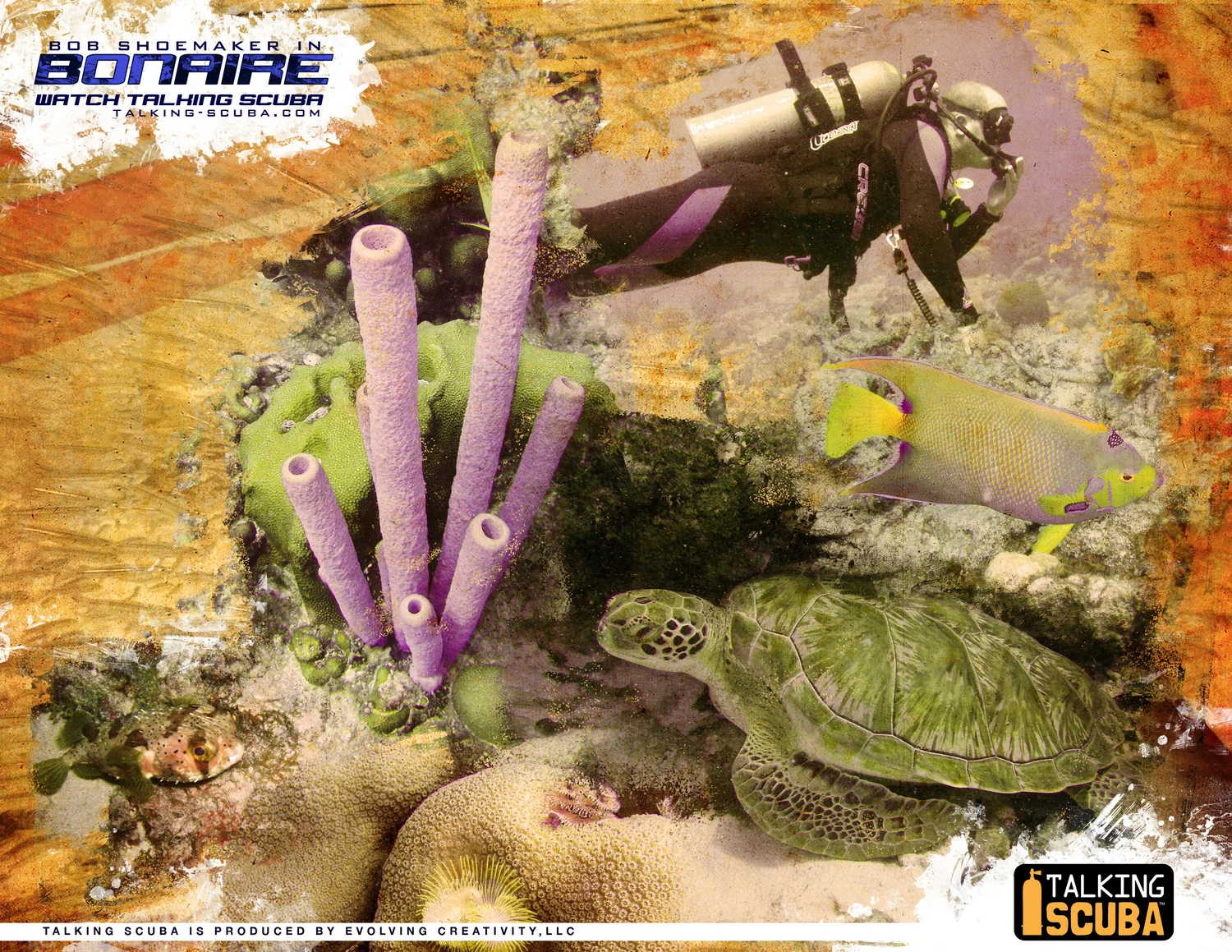 Talking Scuba & Outdoor Adventures promotional digital and print materials