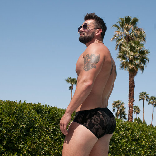 Springs krave palm Gay Clothing
