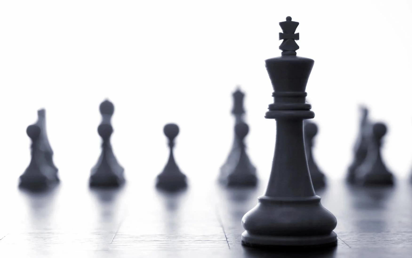 10969104_889148834439410_848197557_o.jpg