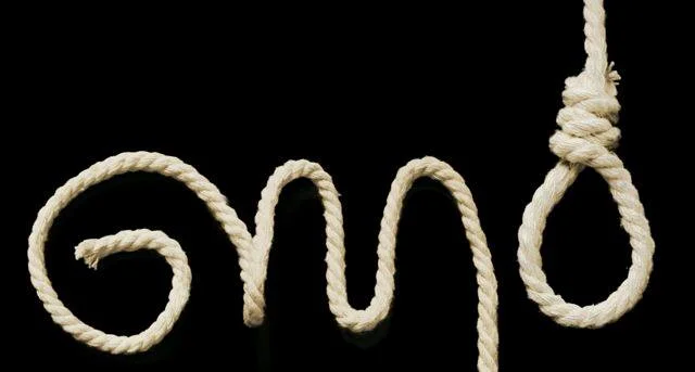gmo2.jpg