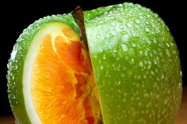 gmo1.jpg