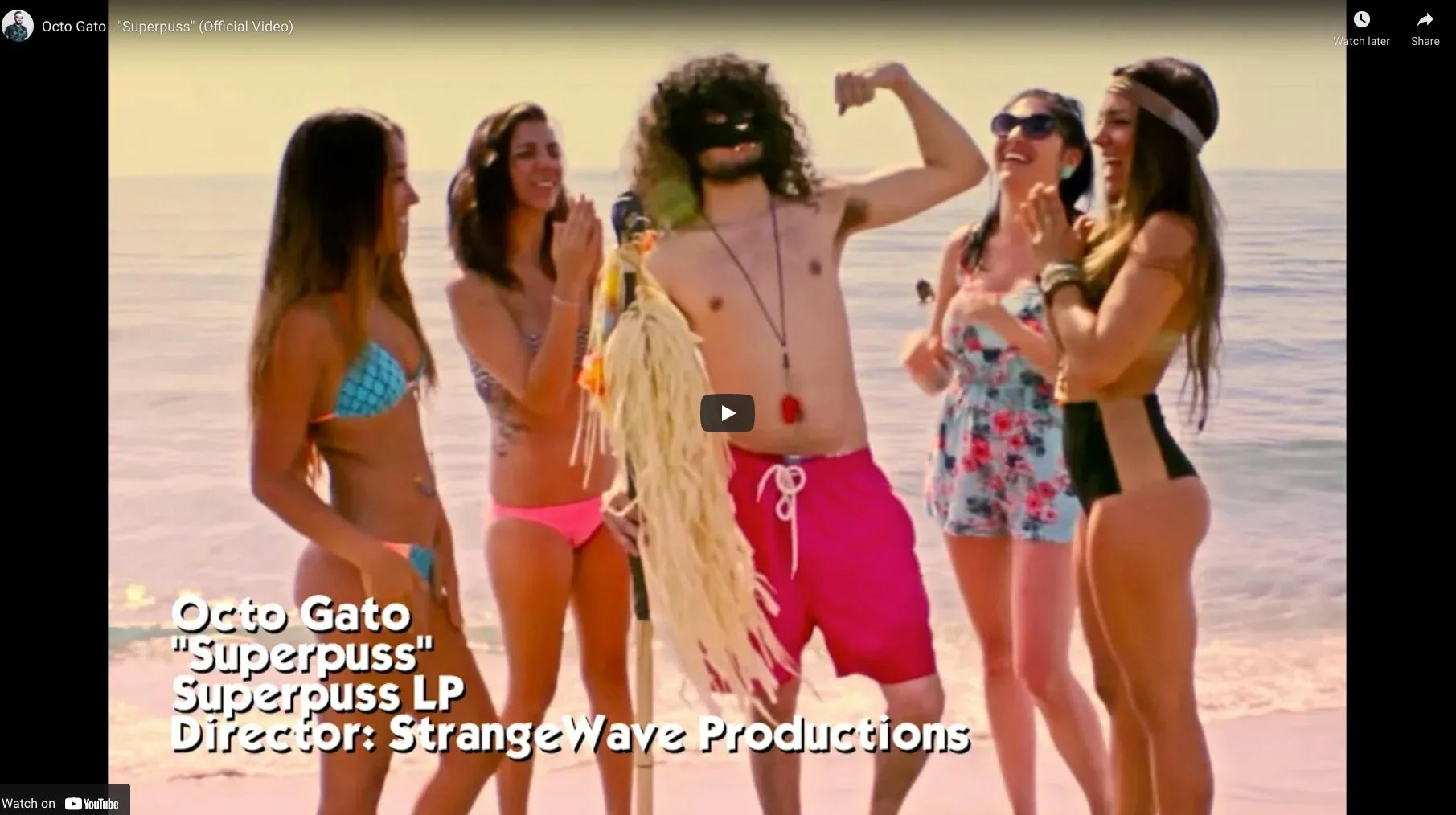 Octo Gato - Superpuss