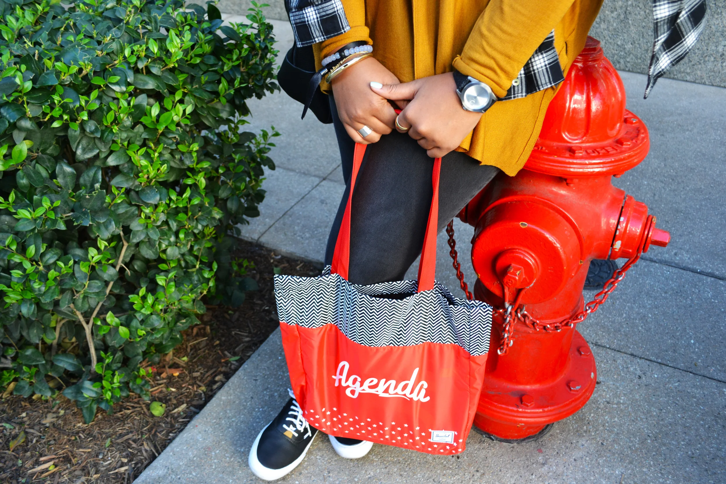 MISSION1: LAS VEGAS MODERN ASSEMBLY. AGENDA, CAPSULE, & LIBERTY FAIRS SHOWS!