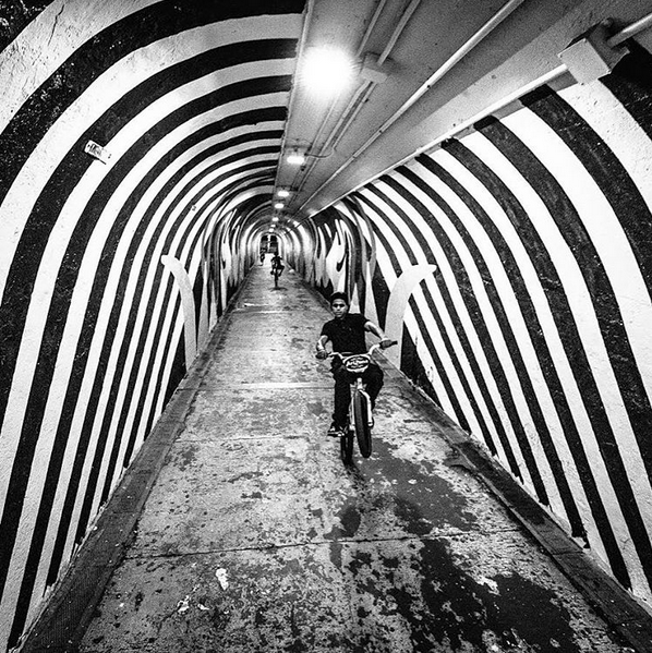 Screen Shot 2015-10-06 at 8.55.52 PM.png