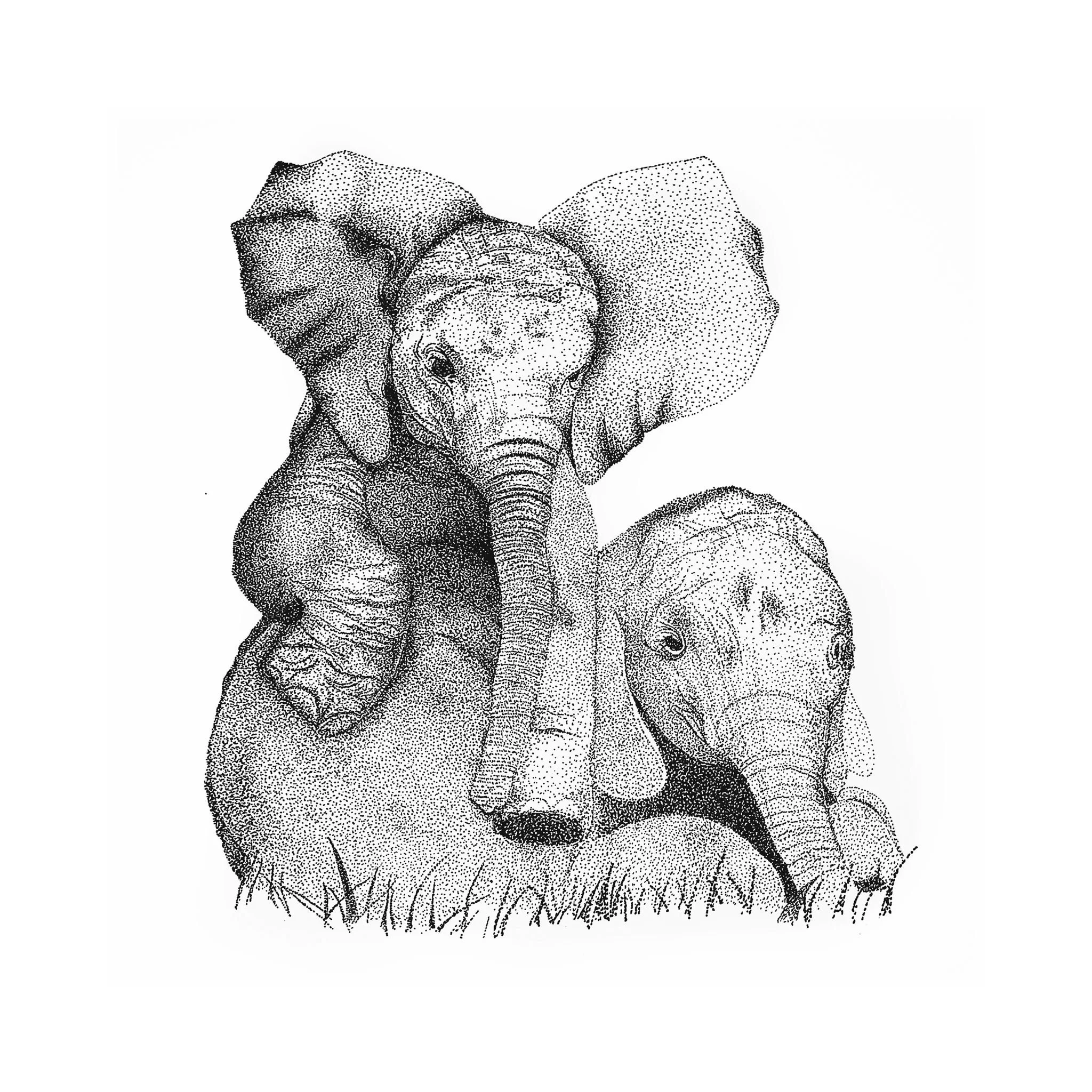 elephants.JPG