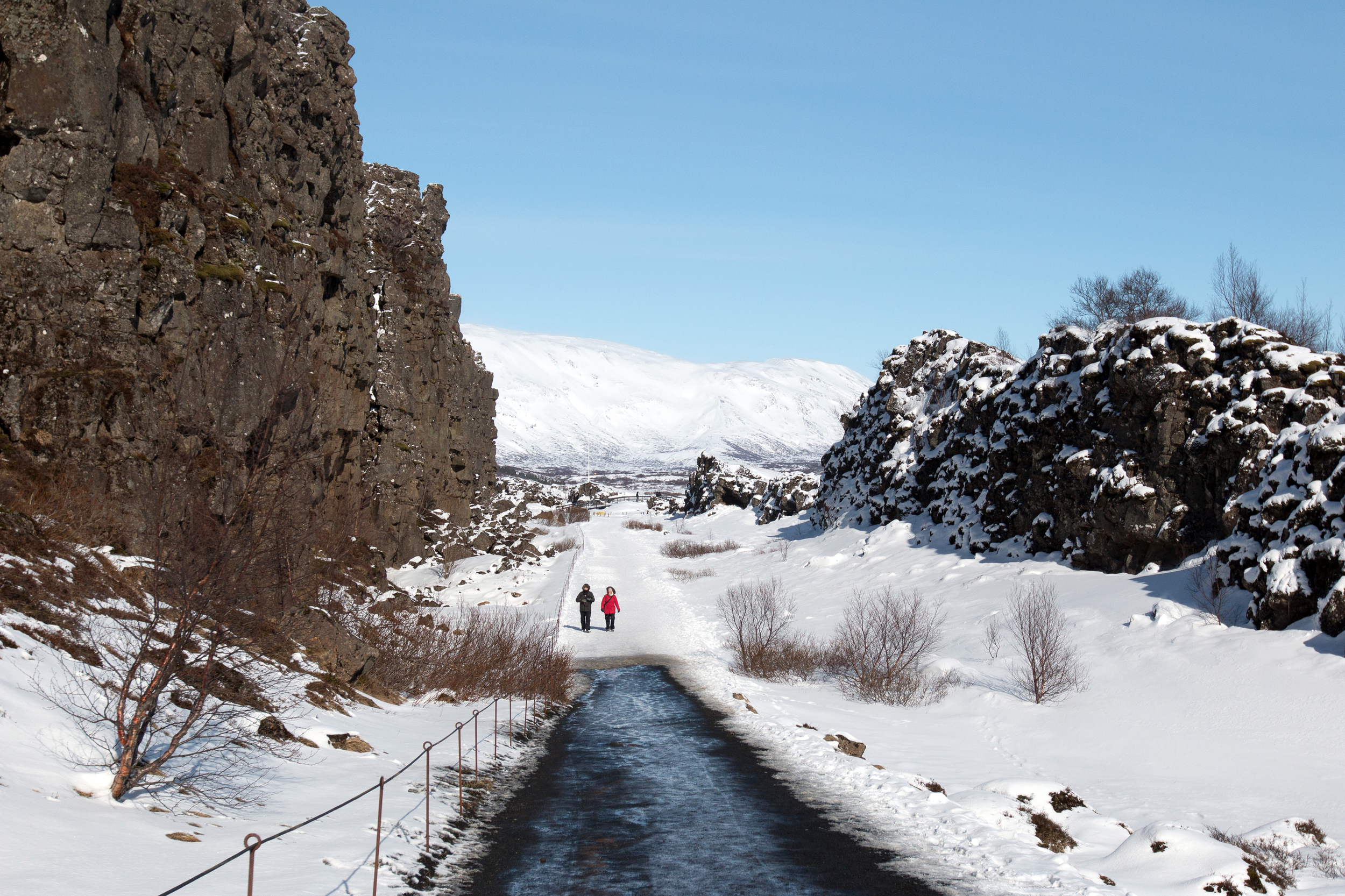 Walking between the American and Eurasian tectonic plates in Þingvellir National Park