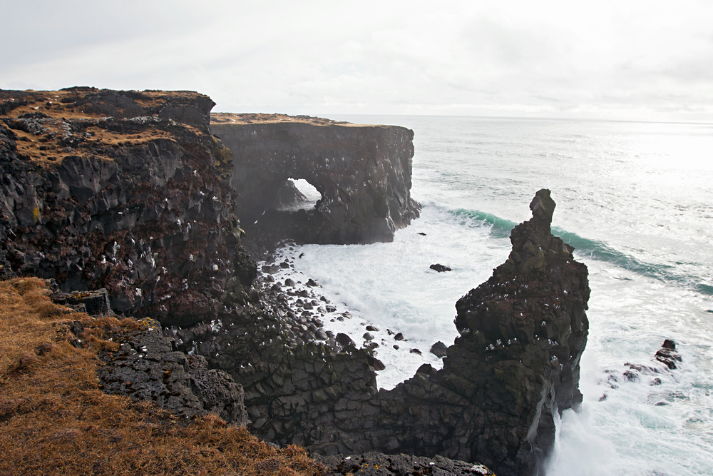 Svörtuloft bird cliffs at Öndverðarnes
