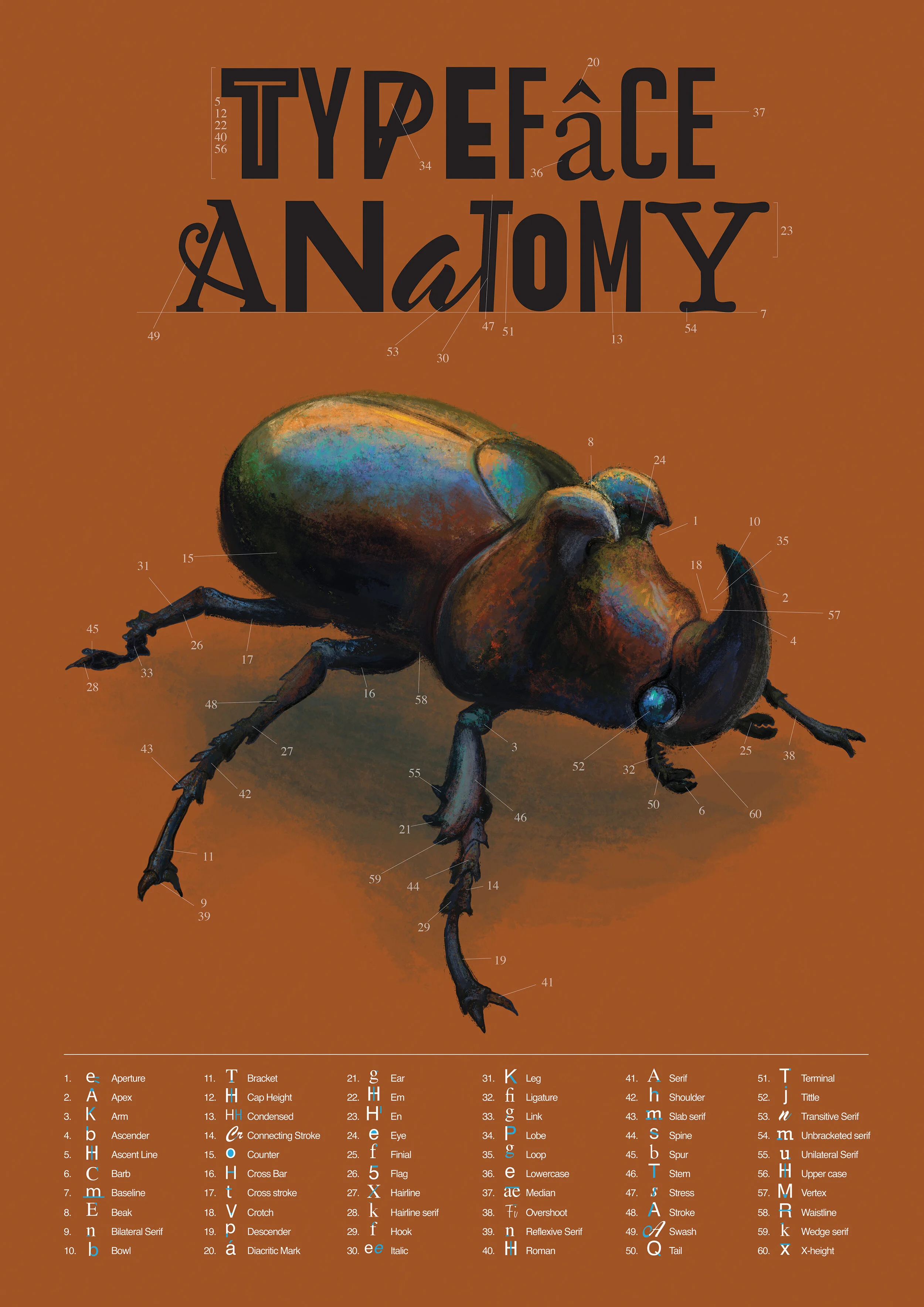 -type anatomy-update.jpg