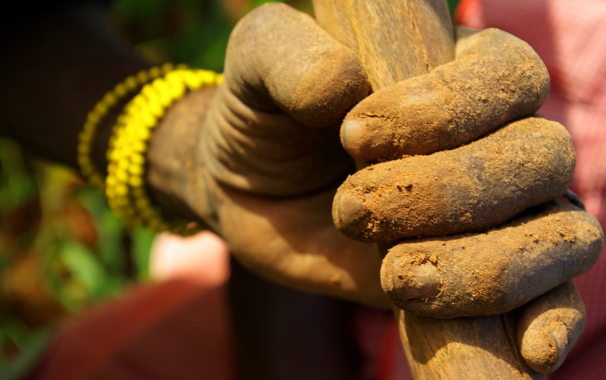cultivating hands.JPG