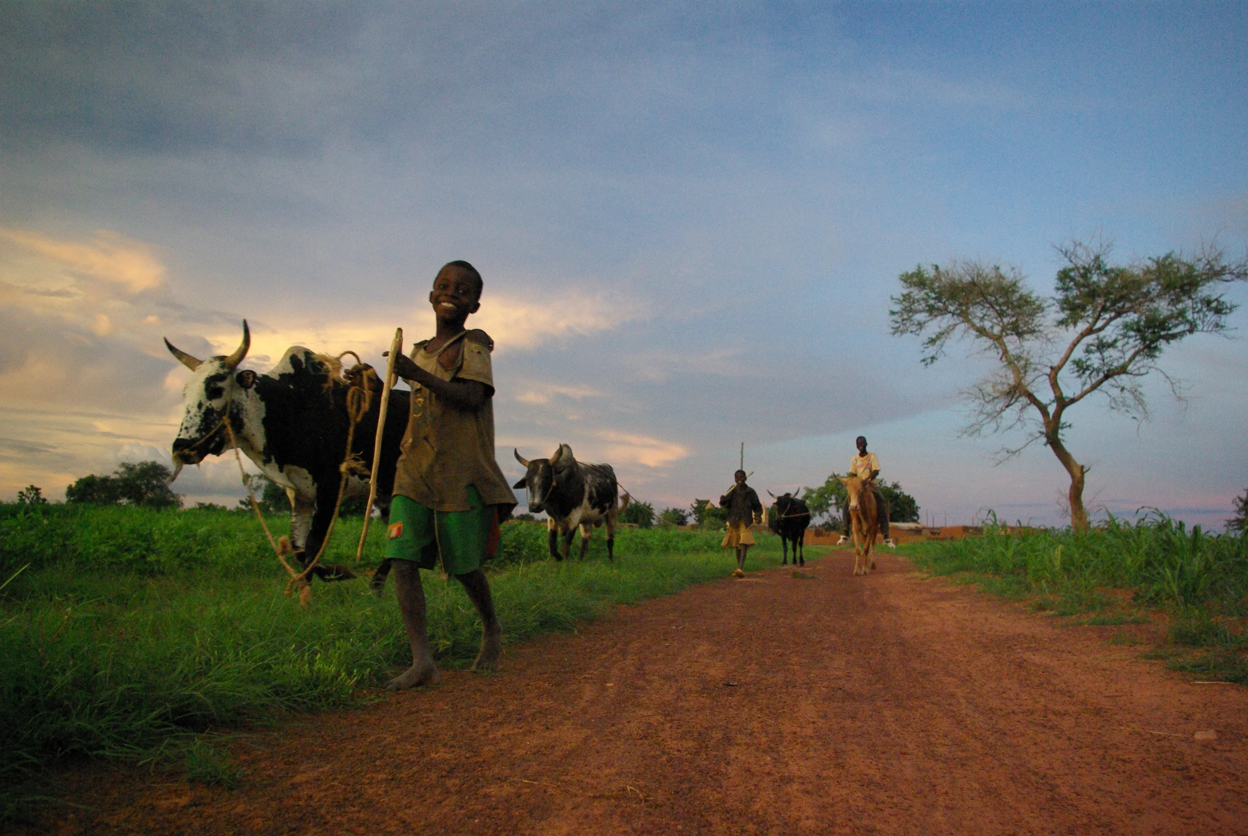 kid shephards in bogoya.JPG