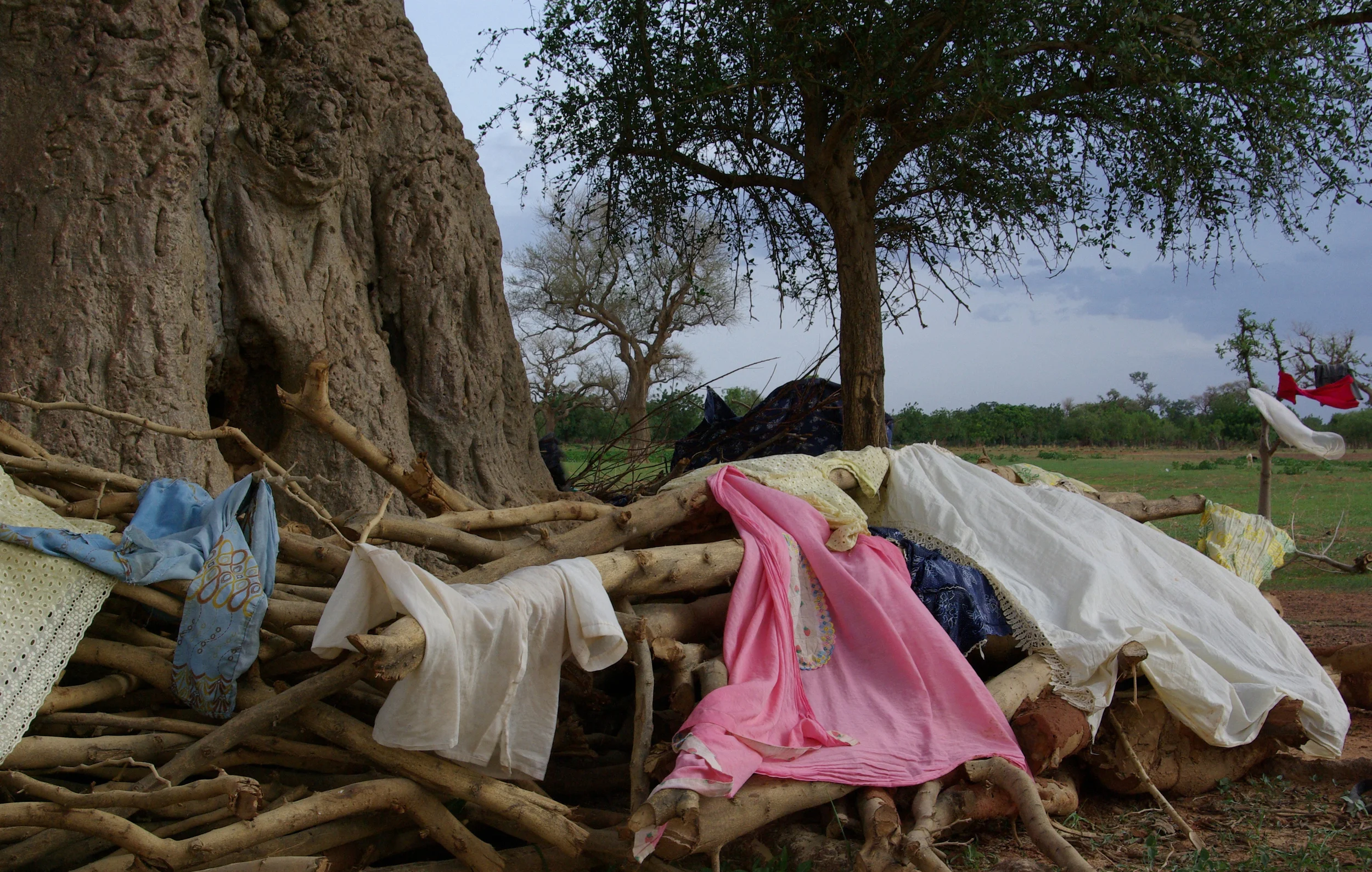 Laundry and Boabob.JPG