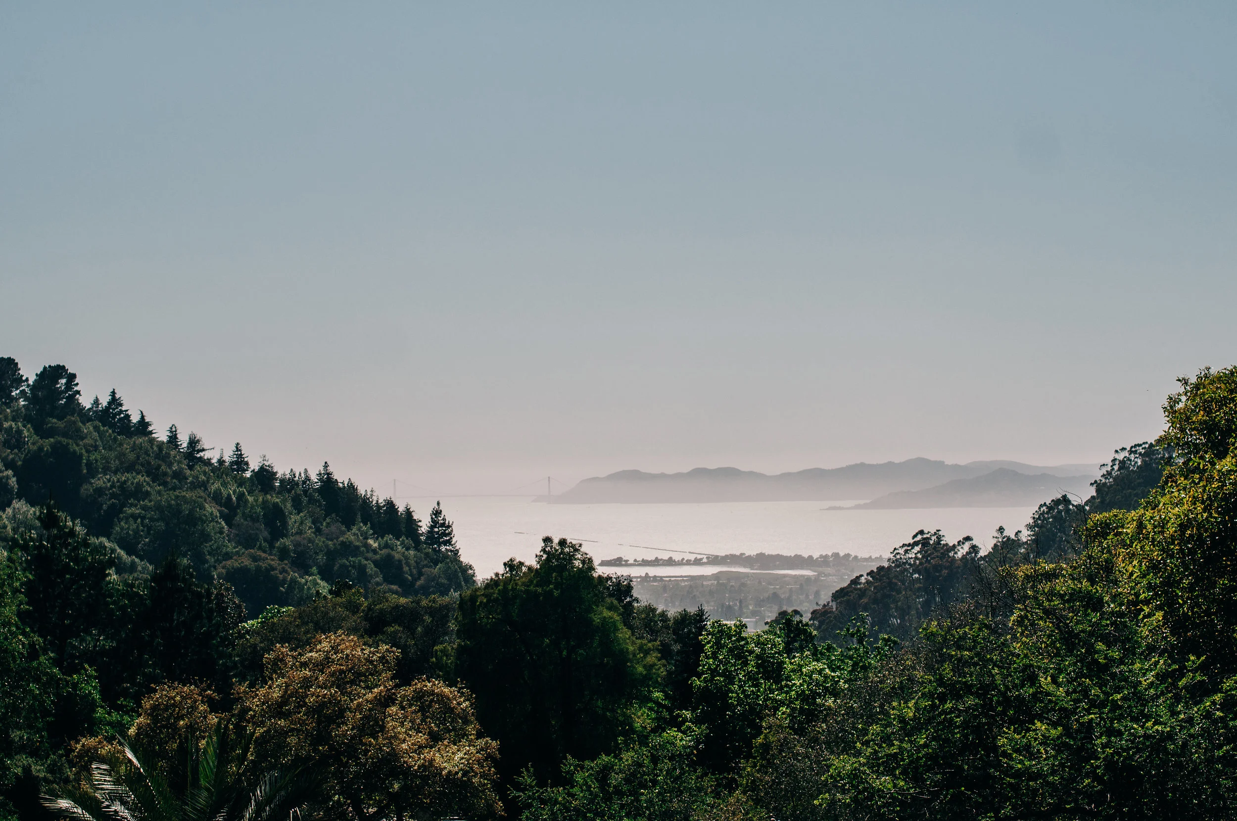 bay.jpg