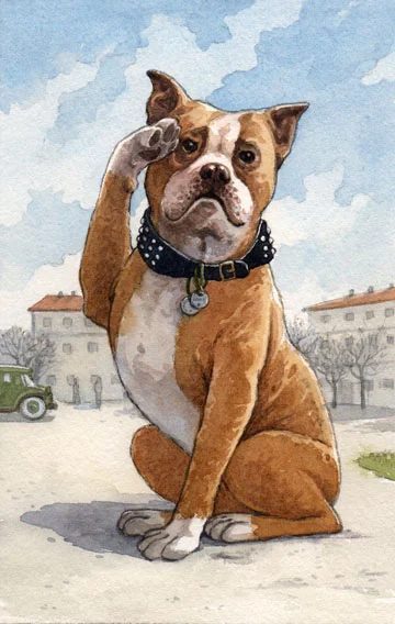 sgt stubby page 6.jpg