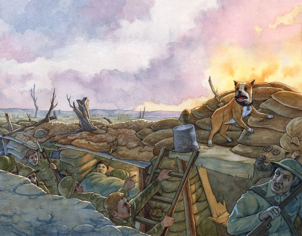 sgt stubby cover.jpg
