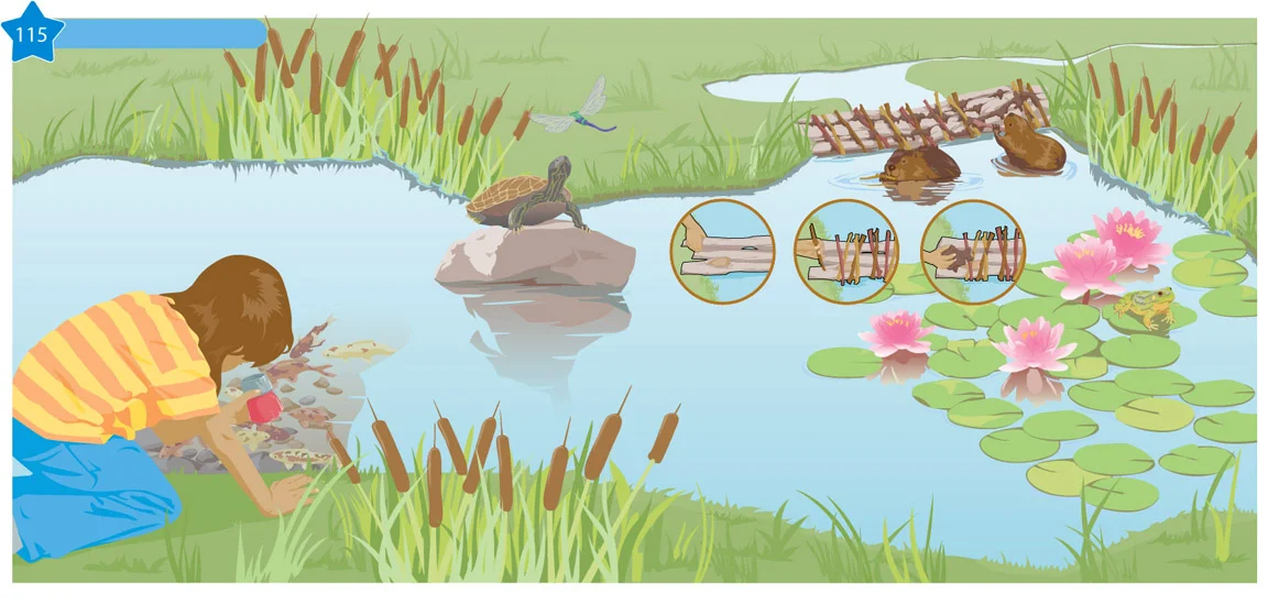 gabhor_Pond.jpg