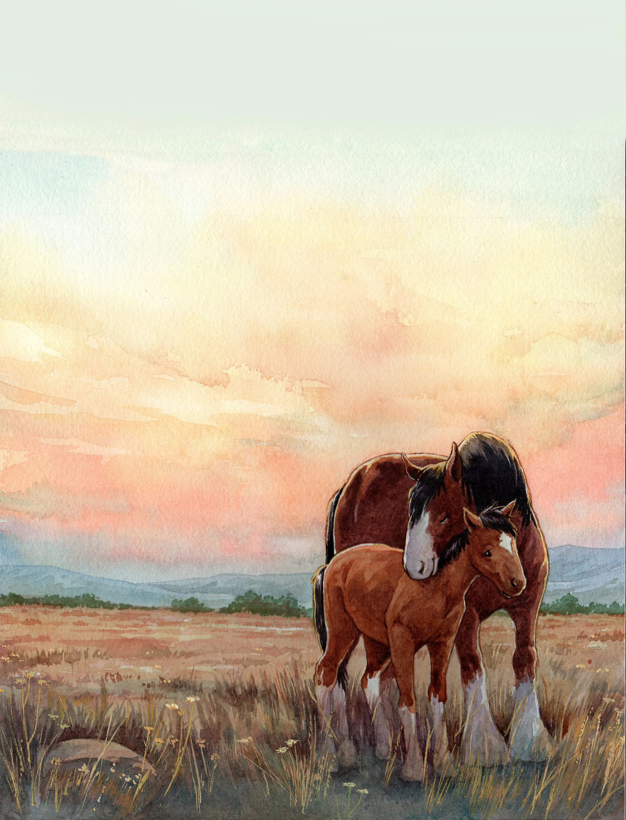 Sunset in the paririe.jpg