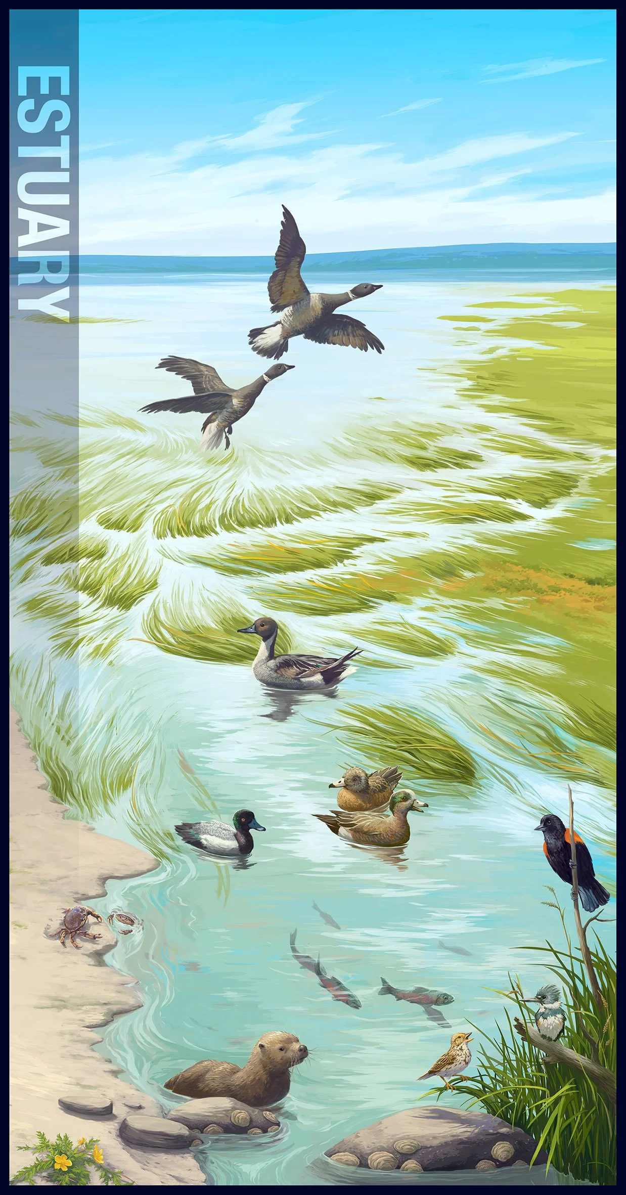 Estuary.jpg