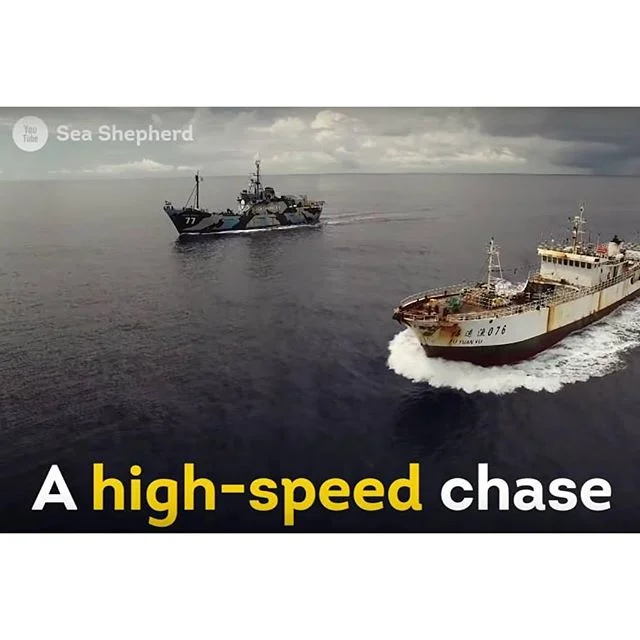 Illegal Fishing Footage Goes Viral on AJ+