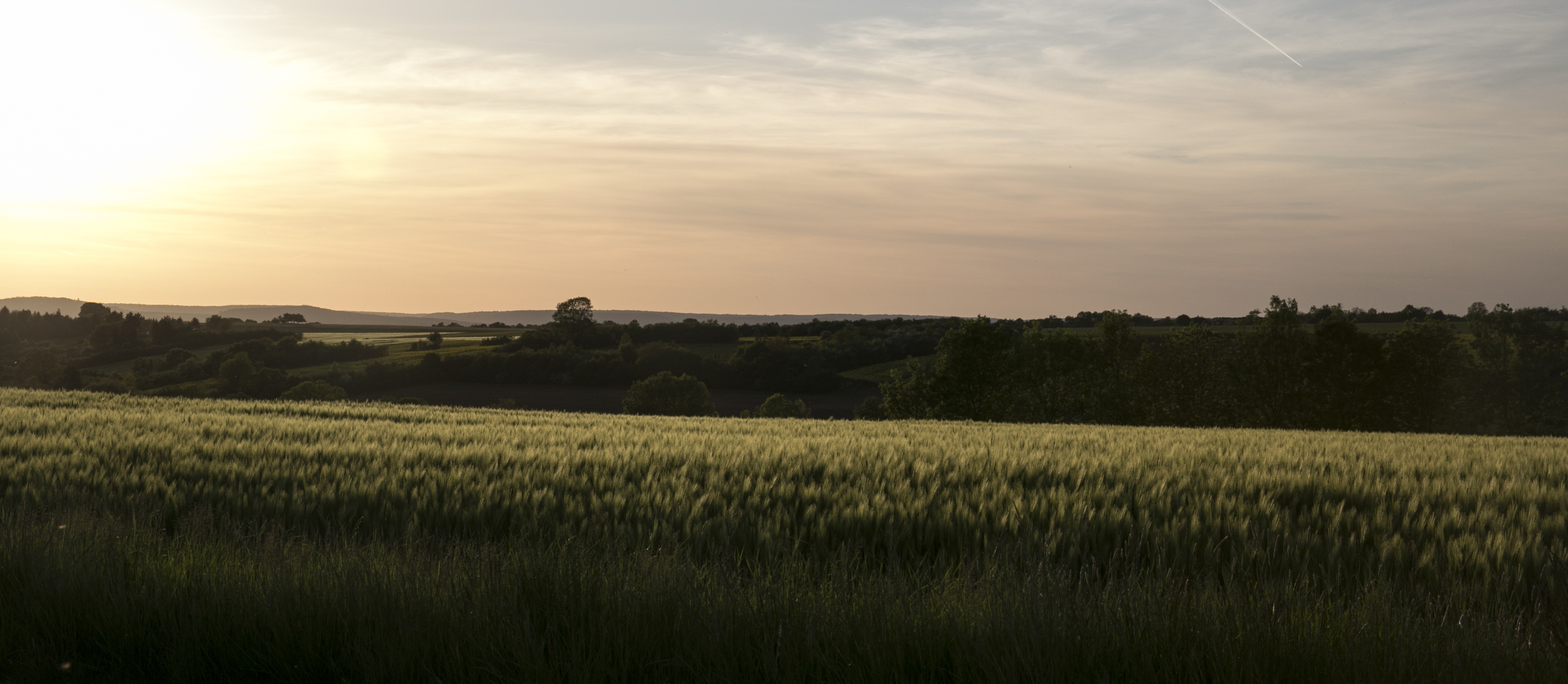 website_images-0172.jpg