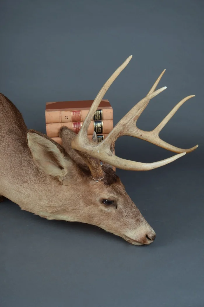 DSC_0003 - Version 2.jpg