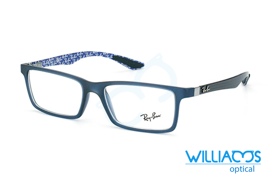 Ray Ban 8901 FB.png