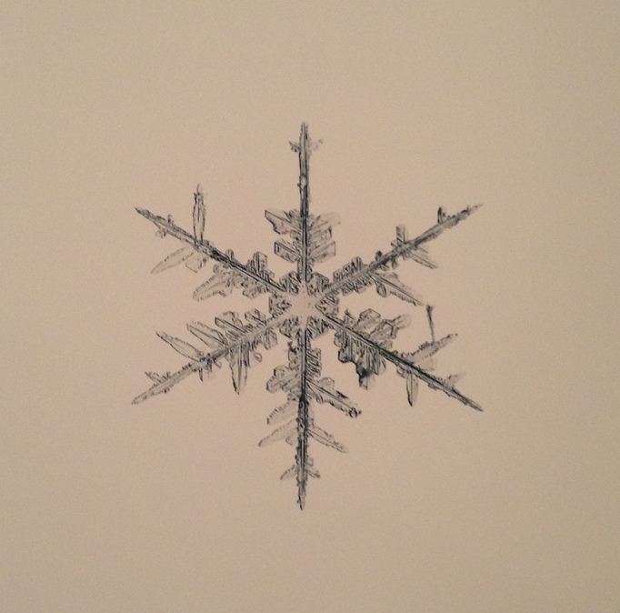 STARN BROTHERS | Everything II