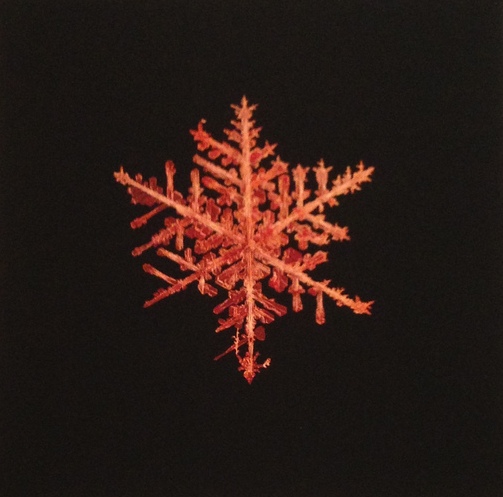 STARN BROTHERS | Everything Giclee | Edition: 500 | 8 x 8
