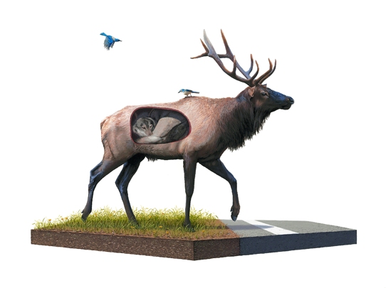 JOSH KEYES | Incubate Giclee | Edition: 50 | 24 x 18 | Signed and Numbered