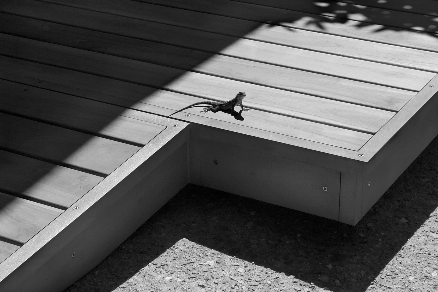 Maloof-Foundation_Accessibility_Thumbnail-01.jpg