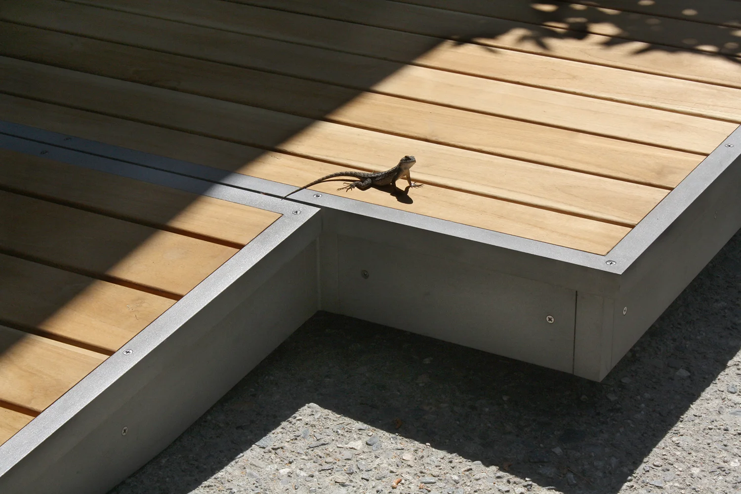 Maloof-Foundation_Accessibility-Design_01.jpg